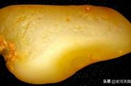 浅析冰种黄蜡玉：雅石图鉴匮要之黄蜡冰籽篇