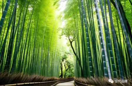 福建竹雕文化：传承与创新并进，助力产业高质量发展