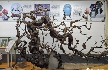 艺术瓷坊的探索：深圳市宝安区锦舟陶瓷博物馆与车库根雕