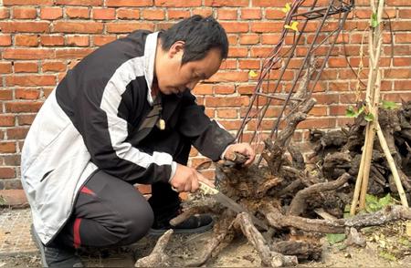 丁海涛：根雕艺术的巧手匠人，让“枯木”重获新生
