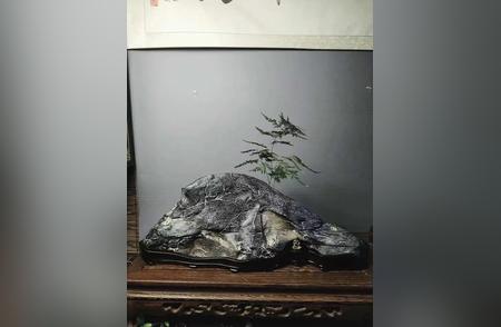 《背有靠山》灵璧石：60*22*24尺寸，天然大环抱