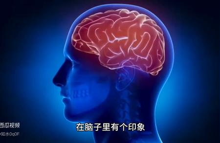 视频教程：如何识别文物新旧（一）入门篇（2）学习文物知识