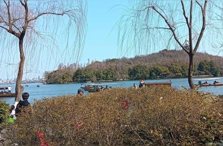 南京雨花石在西湖水中浸泡后，奇迹般地出现在案头