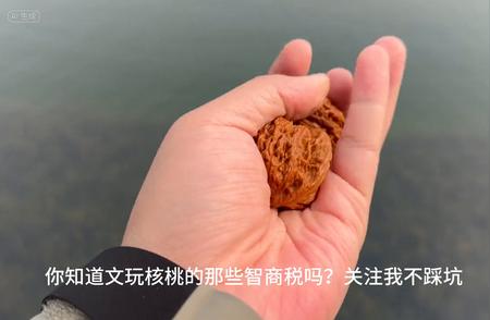 文玩核桃：揭秘那些隐藏的智商税（一）