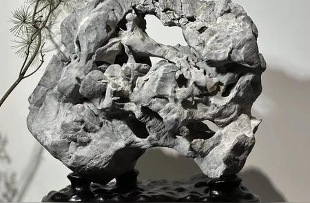 灰白太湖石：52cm高，48cm宽，26cm厚，厅堂之韵