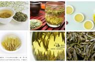 探索中国六大茶类：黄茶篇
