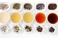 茶叶分类的全面解析