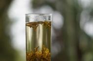 蒙顶黄芽：老川茶的温馨岁月