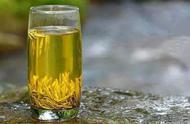 黄茶入门：从零开始了解其特性和品质