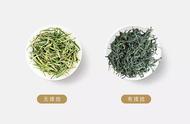黄山毛峰：十大名茶的变革之路