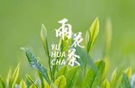 南京雨花茶：中国十大名茶之一的起源与品质特点