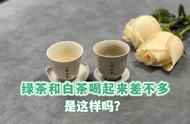 绿茶与白茶：4个关键差异，让你不再买错茶