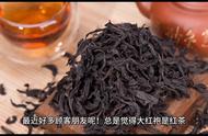 大红袍与红茶：揭秘两种茶叶的微妙差异