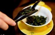 九龙营养课堂解析：金骏眉茶的种类和适宜人群