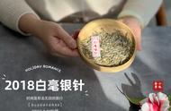 春茶季：白茶的故事与制茶过程