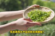 乌龙茶四大产区的特点是什么？#台湾高山茶