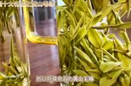 黄山毛峰：世界茶叶市场的璀璨明珠