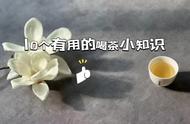 绿茶过期后会转变成红茶吗？揭秘茶叶的10个小秘密