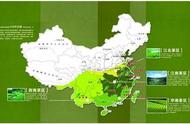 中国茶叶产区：品味与鉴赏