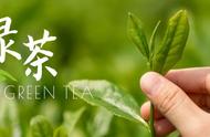 绿茶知识大全：了解茶的奥秘