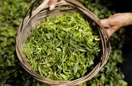 绿茶品种大揭秘，你了解多少？