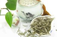 白毫银针：中国十大名茶的传奇故事