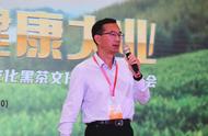 安化黑茶推介会暨文化旅游节在杭州盛大开幕，年产值达230亿元！