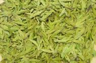 探索龙井茶：8大主流适制品种与西湖龙井茶的三代四大品种