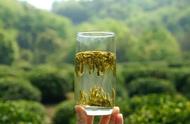 「西湖龙井」：揭秘其成为中国十大名茶之首的历程