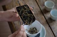 黄茶国家标准起草者再度出击，打造口粮黄茶的新标杆