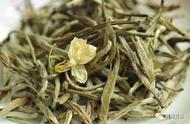 茉莉花茶：揭秘常见花茶种类（1）