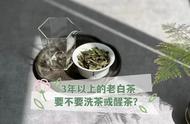 老白茶的陈味是否与熟普相似？是否需要洗茶或醒茶？
