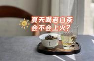 夏季饮用老白茶，是否会导致身体过热？