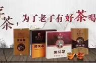 五个关键因素，让你了解中国黑茶之茯砖茶的收藏之道