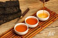 安化云天阁：桑香茯砖挑战十大茶王，中国茶业盛典揭晓⑫