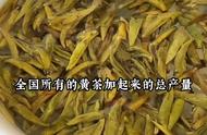 蒙顶黄芽：六大茶类中的黄茶新品上市