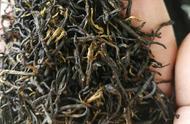 祁门红茶的神秘面纱：新手如何挑选适合自己的茶叶？
