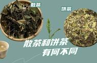 白茶新手必看：如何根据需求选择散茶或饼茶？