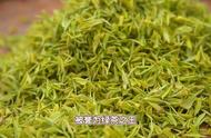 信阳毛尖：中国茶文化的瑰宝