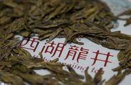 龙井茶：探索名茶的奥秘