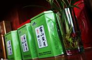 霍山黄芽：中国七大茶类中的黄茶翘楚