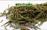 原生态绿茶：保持原始绿色和清新口感的未发酵茶