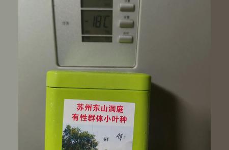 绿茶之旅：我的品茶经历