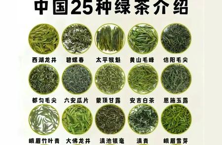中国绿茶大全：25种精选品种介绍