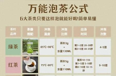 泡茶秘籍：万能公式教你如何正确泡茶！