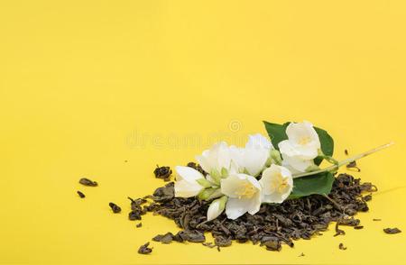 营养专家解析：茉莉花茶的四大健康益处，你了解吗？