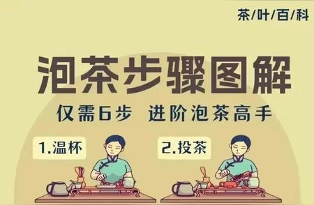 泡茶艺术：六步走向高手之路