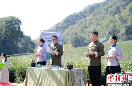 杭州西湖畔的传统手艺：西湖龙井茶的采制