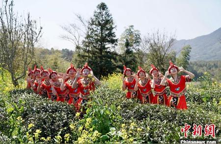 闽北山区唤醒春茶的传统祭茶仪式