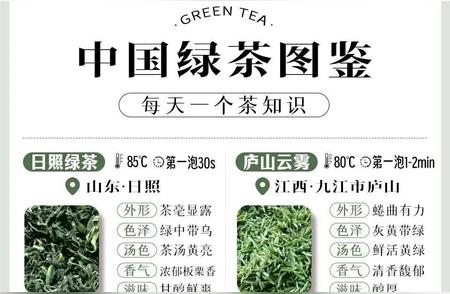 绿茶大全：了解不同品种与其特点